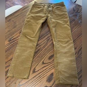 Men’s Polo moleskin pants